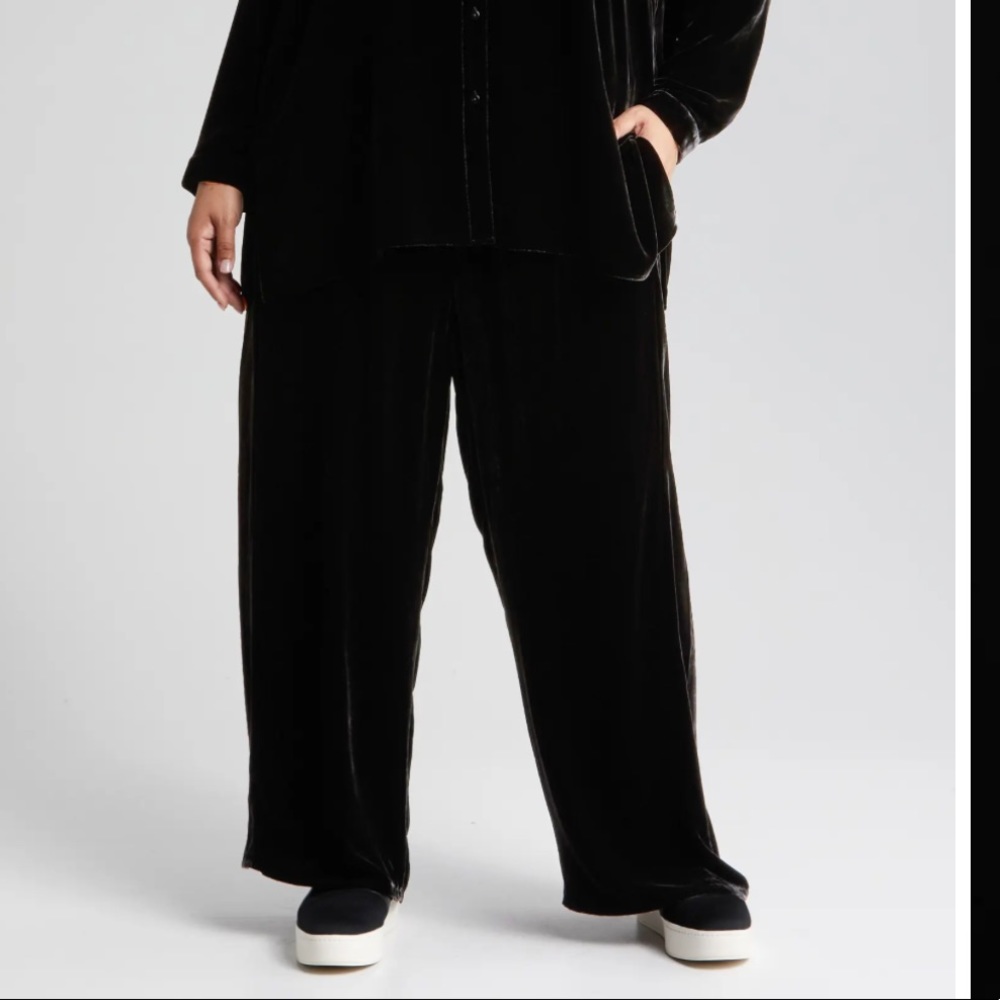 Eileen Fisher Velvet Pants-XL